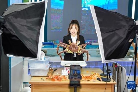 9月20日，在吉林省琿春市的帝王蟹保稅店內(nèi)，工作人員進(jìn)行網(wǎng)絡(luò)直播售賣帝王蟹。新華社記者 許暢 攝