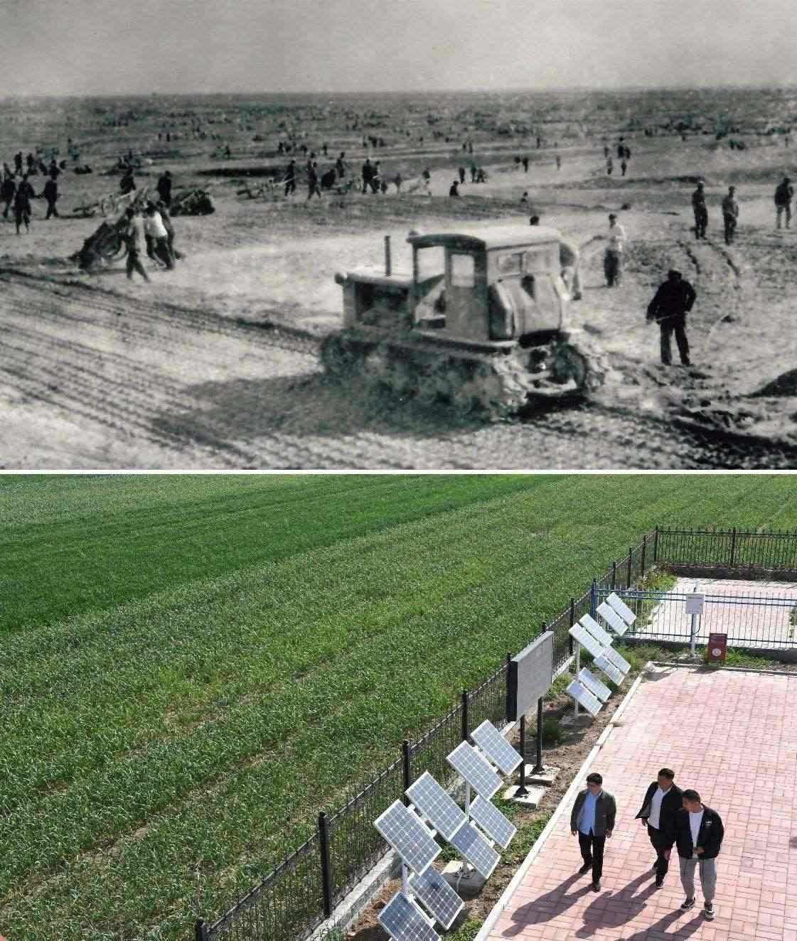 上圖為二十世紀六十年代蘭考改造鹽堿地的情景（資料照片）；下圖為2024年4月18日拍攝的蘭考縣紅廟鎮(zhèn)高標準農(nóng)田示范區(qū)。（新華社記者 朱祥 攝）