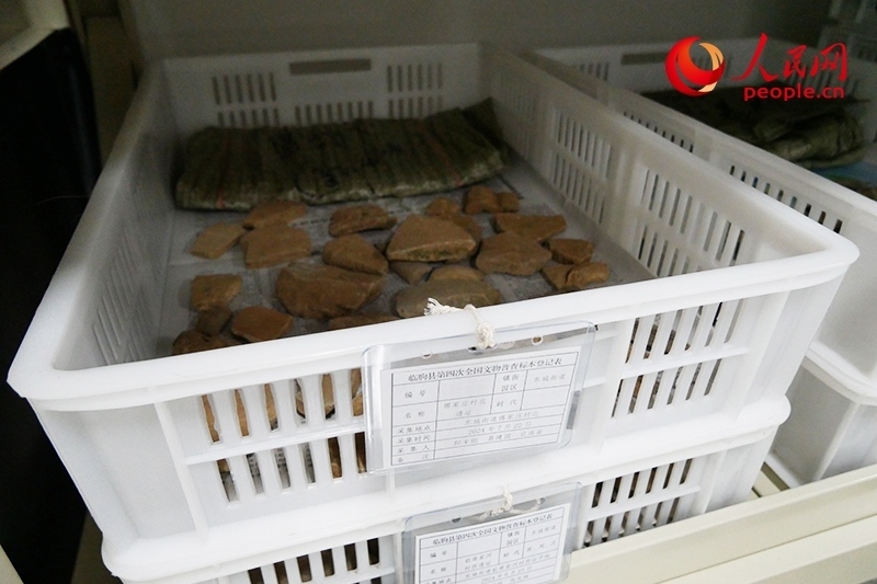 已經(jīng)整理完畢的文物標(biāo)本。人民網(wǎng)記者 韋衍行攝
