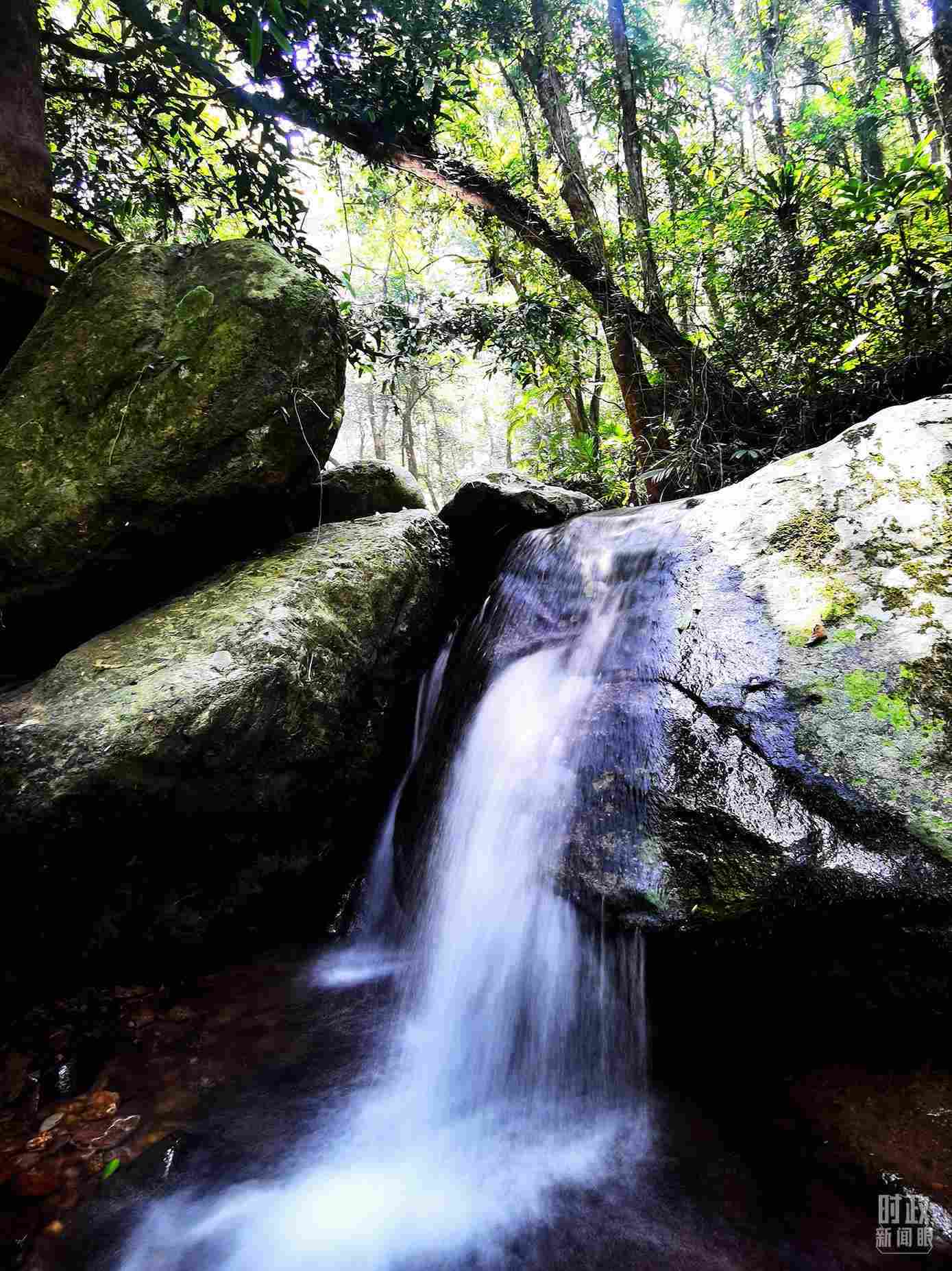 海南五指山。（總臺(tái)央視記者劉琦拍攝）