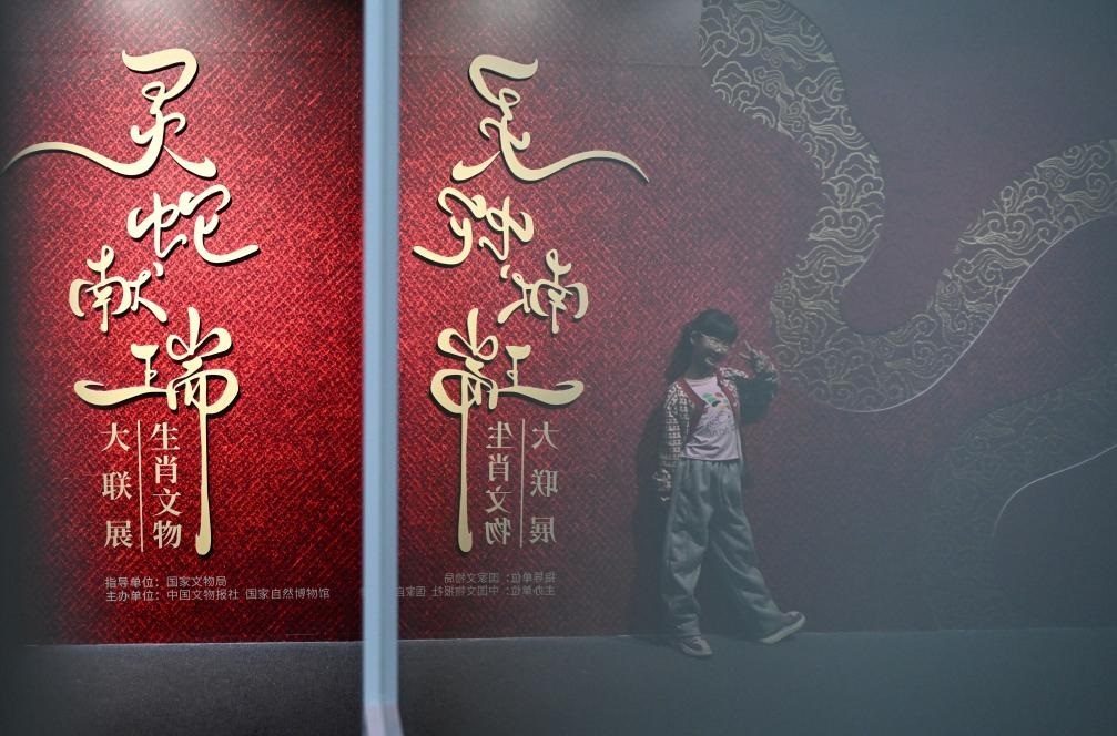 1月18日，一名小朋友在國家自然博物館舉辦的“靈蛇獻瑞——2025乙巳蛇年生肖文物大聯(lián)展”展覽中拍照留念。（新華社記者 陳鐘昊 攝）
