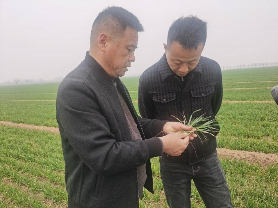 在山東濟寧汶上縣苑莊鎮(zhèn)，農(nóng)技員黃海龍對種糧大戶王振現(xiàn)場進行春耕指導。人民網(wǎng)記者 車柯蒙攝
